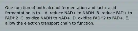 One function of both alcohol fermentation and lactic acid fermentation is to... A. reduce NAD+ to NADH. B. reduce FAD+ to FADH2. C. oxidize NADH to NAD+. D. oxidize FADH2 to FAD+. E. allow the electron transport chain to function.