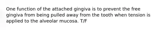 One function of the attached gingiva is to prevent the free gingiva from being pulled away from the tooth when tension is applied to the alveolar mucosa. T/F