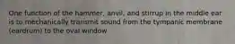 One function of the hammer, anvil, and stirrup in the middle ear is to mechanically transmit sound from the tympanic membrane (eardrum) to the oval window