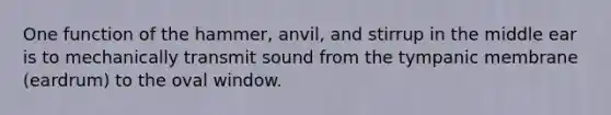 One function of the hammer, anvil, and stirrup in the middle ear is to mechanically transmit sound from the tympanic membrane (eardrum) to the oval window.