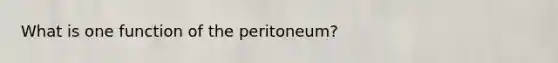 What is one function of the peritoneum?