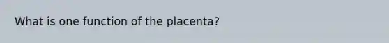 What is one function of the placenta?