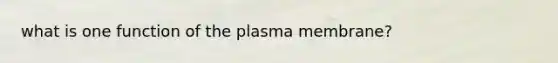 what is one function of the plasma membrane?