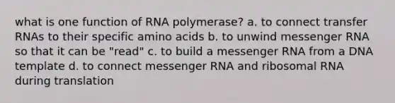 what is one function of RNA polymerase? a. to connect transfer RNAs to their specific amino acids b. to unwind messenger RNA so that it can be "read" c. to build a messenger RNA from a DNA template d. to connect messenger RNA and ribosomal RNA during translation