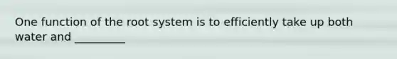 One function of the root system is to efficiently take up both water and _________