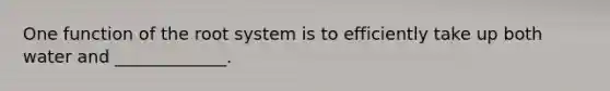 One function of the root system is to efficiently take up both water and _____________.