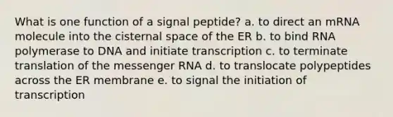 What is one function of a signal peptide? a. to direct an mRNA molecule into the cisternal space of the ER b. to bind RNA polymerase to DNA and initiate transcription c. to terminate translation of the messenger RNA d. to translocate polypeptides across the ER membrane e. to signal the initiation of transcription