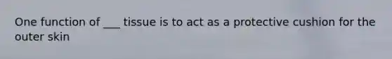 One function of ___ tissue is to act as a protective cushion for the outer skin