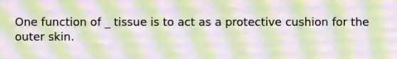 One function of _ tissue is to act as a protective cushion for the outer skin.