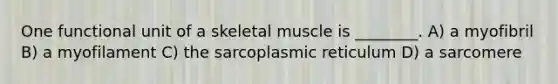 One functional unit of a skeletal muscle is ________. A) a myofibril B) a myofilament C) the sarcoplasmic reticulum D) a sarcomere