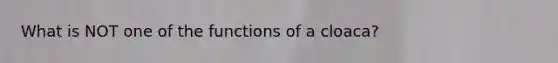 What is NOT one of the functions of a cloaca?