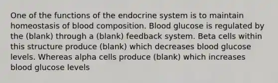 One of the functions of the endocrine system is to maintain homeostasis of blood composition. Blood glucose is regulated by the (blank) through a (blank) feedback system. Beta cells within this structure produce (blank) which decreases blood glucose levels. Whereas alpha cells produce (blank) which increases blood glucose levels