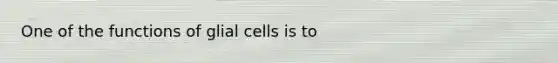 One of the functions of glial cells is to