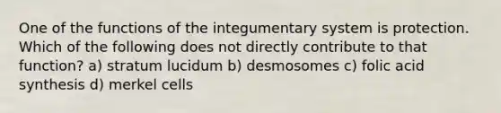 One of the functions of the integumentary system is protection. Which of the following does not directly contribute to that function? a) stratum lucidum b) desmosomes c) folic acid synthesis d) merkel cells