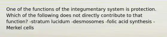 One of the functions of the integumentary system is protection. Which of the following does not directly contribute to that function? -stratum lucidum -desmosomes -folic acid synthesis -Merkel cells