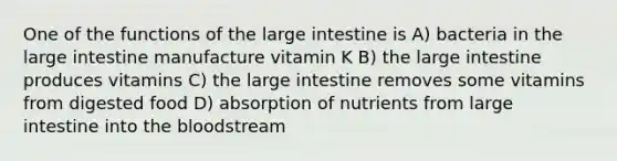 One of the functions of the large intestine is A) bacteria in the large intestine manufacture vitamin K B) the large intestine produces vitamins C) the large intestine removes some vitamins from digested food D) absorption of nutrients from large intestine into the bloodstream