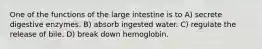 One of the functions of the large intestine is to A) secrete digestive enzymes. B) absorb ingested water. C) regulate the release of bile. D) break down hemoglobin.