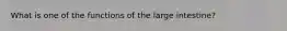 What is one of the functions of the large intestine?