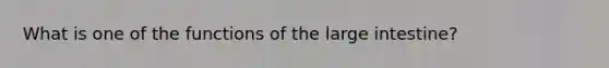 What is one of the functions of the large intestine?