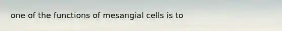 one of the functions of mesangial cells is to