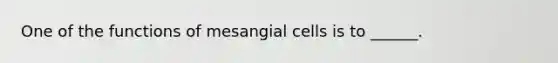 One of the functions of mesangial cells is to ______.