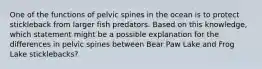 One of the functions of pelvic spines in the ocean is to protect stickleback from larger fish predators. Based on this knowledge, which statement might be a possible explanation for the differences in pelvic spines between Bear Paw Lake and Frog Lake sticklebacks?