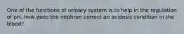 One of the functions of urinary system is to help in the regulation of pH. how does the nephron correct an acidosis condition in the blood?