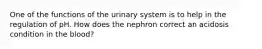 One of the functions of the urinary system is to help in the regulation of pH. How does the nephron correct an acidosis condition in the blood?