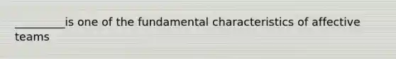 _________is one of the fundamental characteristics of affective teams