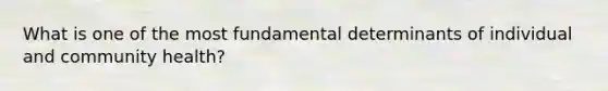 What is one of the most fundamental determinants of individual and community health?