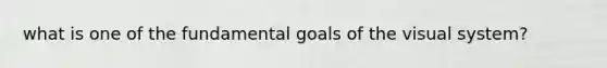 what is one of the fundamental goals of the visual system?