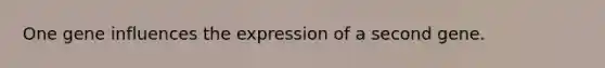 One gene influences the expression of a second gene.