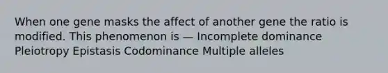 When one gene masks the affect of another gene the ratio is modified. This phenomenon is — Incomplete dominance Pleiotropy Epistasis Codominance Multiple alleles