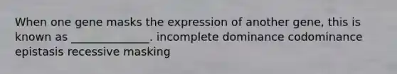 When one gene masks the expression of another gene, this is known as ______________. incomplete dominance codominance epistasis recessive masking
