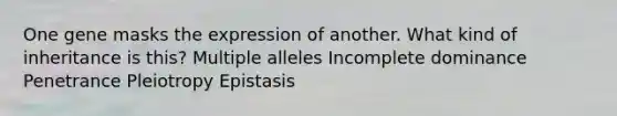 One gene masks the expression of another. What kind of inheritance is this? Multiple alleles Incomplete dominance Penetrance Pleiotropy Epistasis