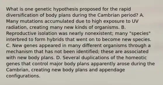 What is one genetic hypothesis proposed for the rapid diversification of body plans during the Cambrian period? A. Many mutations accumulated due to high exposure to UV radiation, creating many new kinds of organisms. B. Reproductive isolation was nearly nonexistent; many "species" interbred to form hybrids that went on to become new species. C. New genes appeared in many different organisms through a mechanism that has not been identified; these are associated with new body plans. D. Several duplications of the homeotic genes that control major body plans apparently arose during the Cambrian, creating new body plans and appendage configurations.