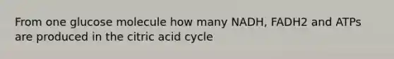 From one glucose molecule how many NADH, FADH2 and ATPs are produced in the citric acid cycle