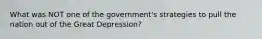 What was NOT one of the government's strategies to pull the nation out of the Great Depression?