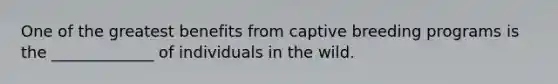 One of the greatest benefits from captive breeding programs is the _____________ of individuals in the wild.