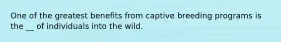 One of the greatest benefits from captive breeding programs is the __ of individuals into the wild.