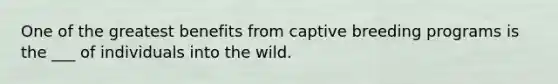 One of the greatest benefits from captive breeding programs is the ___ of individuals into the wild.