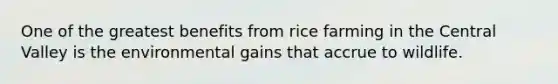 One of the greatest benefits from rice farming in the Central Valley is the environmental gains that accrue to wildlife.