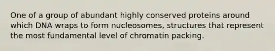 One of a group of abundant highly conserved proteins around which DNA wraps to form nucleosomes, structures that represent the most fundamental level of chromatin packing.