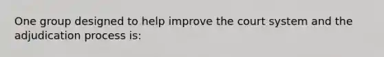 One group designed to help improve the court system and the adjudication process is: