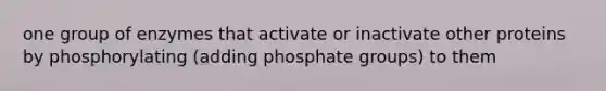 one group of enzymes that activate or inactivate other proteins by phosphorylating (adding phosphate groups) to them