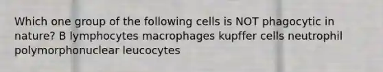 Which one group of the following cells is NOT phagocytic in nature? B lymphocytes macrophages kupffer cells neutrophil polymorphonuclear leucocytes