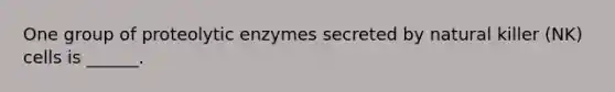 One group of proteolytic enzymes secreted by natural killer (NK) cells is ______.