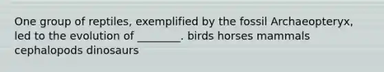 One group of reptiles, exemplified by the fossil Archaeopteryx, led to the evolution of ________. birds horses mammals cephalopods dinosaurs