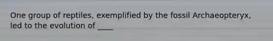 One group of reptiles, exemplified by the fossil Archaeopteryx, led to the evolution of ____