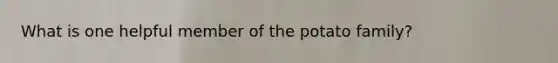 What is one helpful member of the potato family?